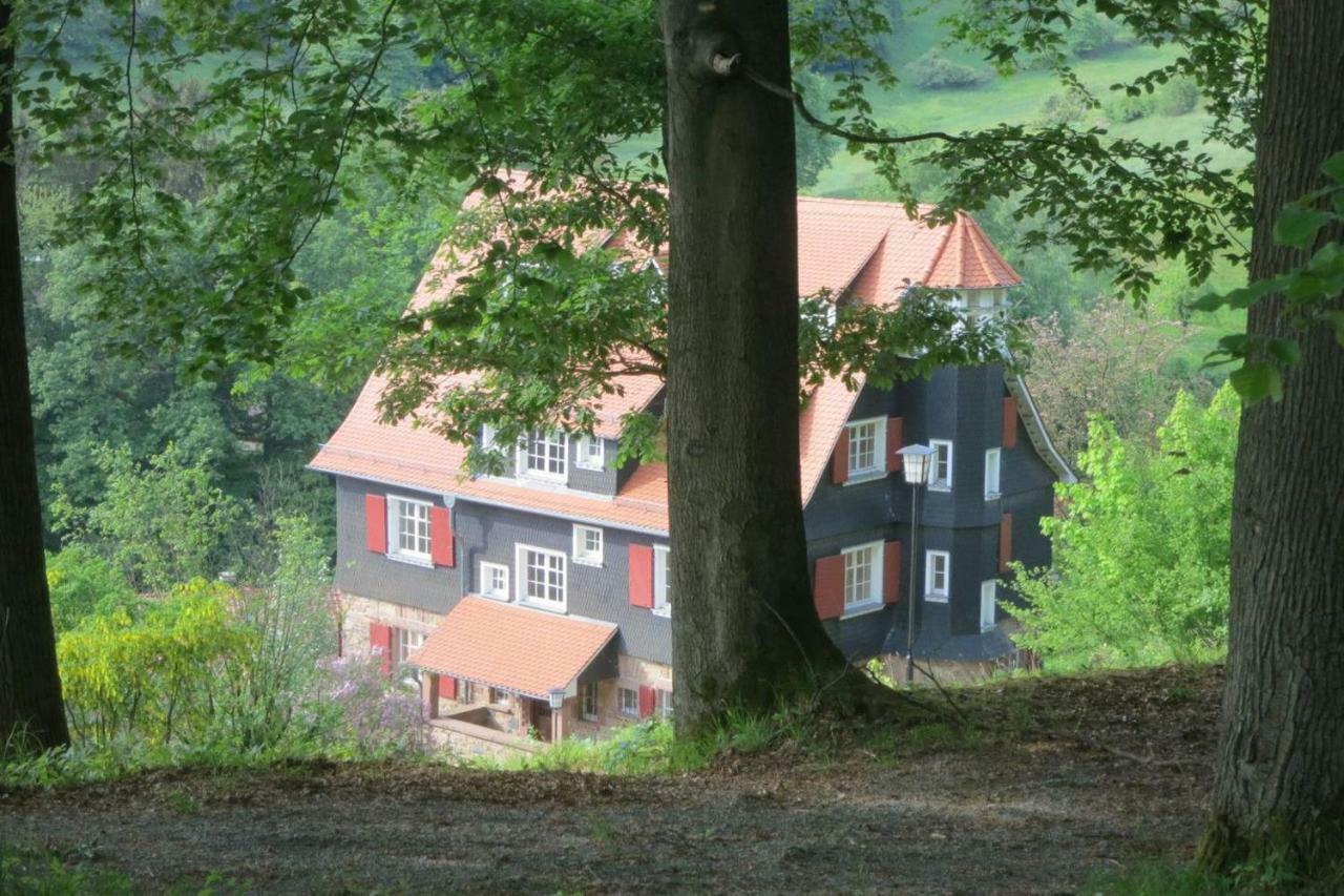 Panoramablick Appartement - Traumhaft! Ober-Hambach Εξωτερικό φωτογραφία