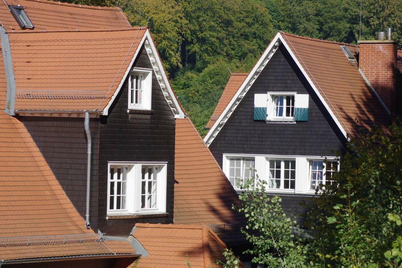 Panoramablick Appartement - Traumhaft! Ober-Hambach Εξωτερικό φωτογραφία