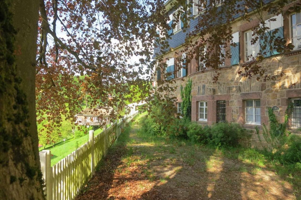 Panoramablick Appartement - Traumhaft! Ober-Hambach Εξωτερικό φωτογραφία